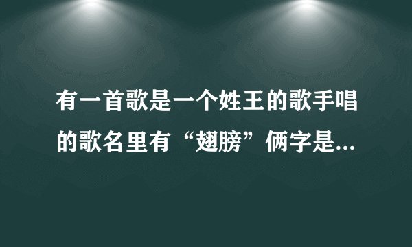 有一首歌是一个姓王的歌手唱的歌名里有“翅膀”俩字是什么？？？？