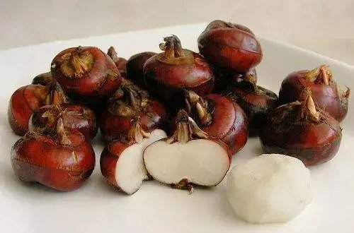 蒲岐水果又叫什么?