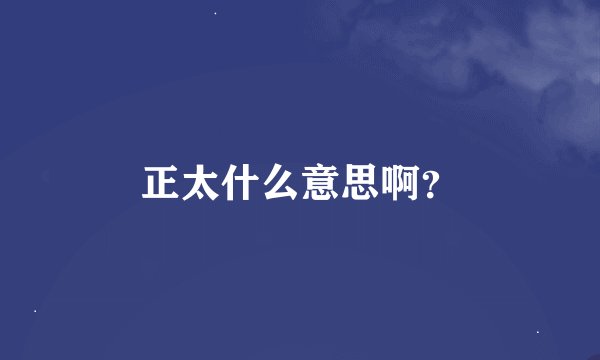 正太什么意思啊？