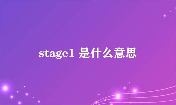 stage1 是什么意思