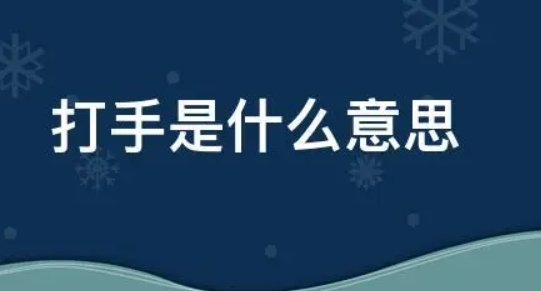 打手是什么意思