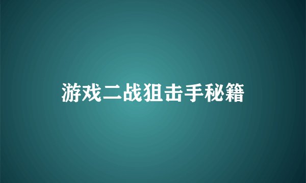 游戏二战狙击手秘籍