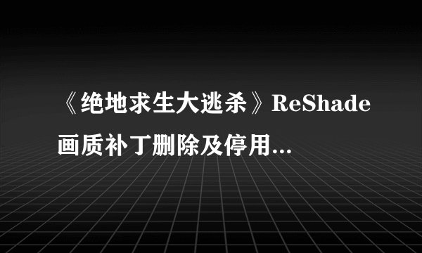 《绝地求生大逃杀》ReShade画质补丁删除及停用方法 ReShade怎么删除