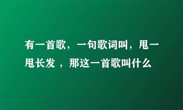 有一首歌，一句歌词叫，甩一甩长发 ，那这一首歌叫什么