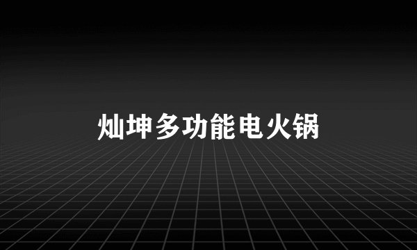 灿坤多功能电火锅