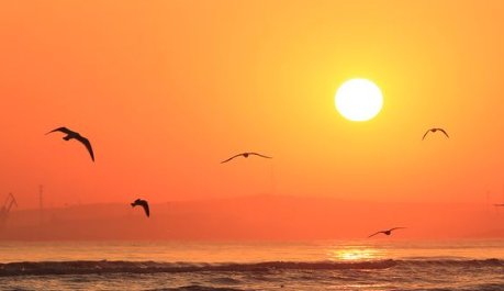 我画了个（）的太阳，送给（），希望（）。