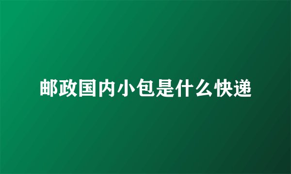 邮政国内小包是什么快递