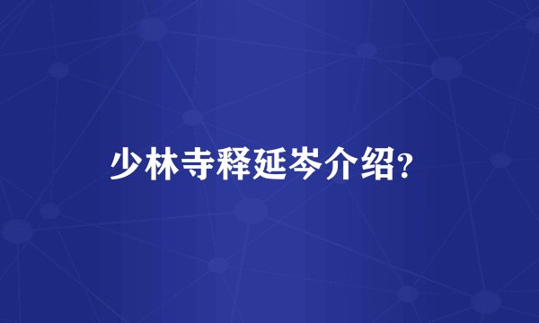 少林寺释延岑介绍？
