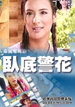 卧底警花的介绍