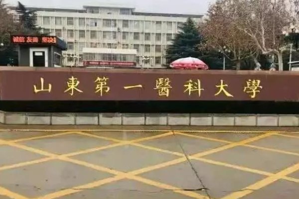 山东医科大学分数线2023