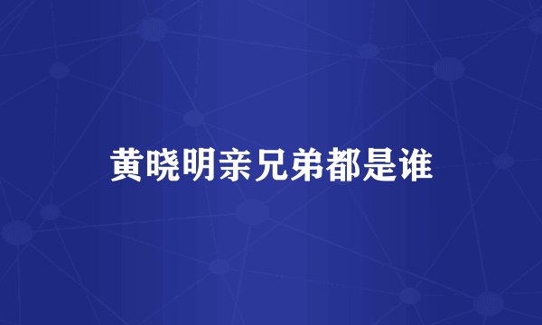 黄晓明亲兄弟都是谁