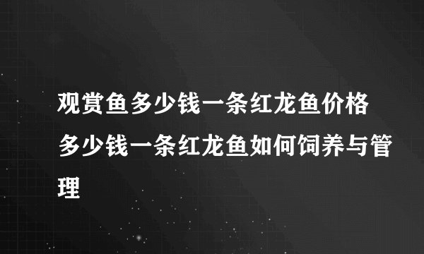 观赏鱼多少钱一条红龙鱼价格多少钱一条红龙鱼如何饲养与管理