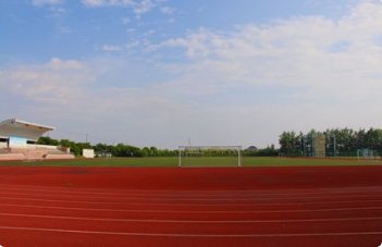 高中毕业证编号不记得了怎么查啊？