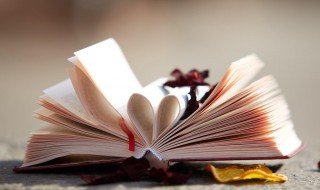 喆啡怎么读 喆啡的读音