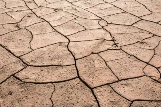 纲鉴易知录原文及译文