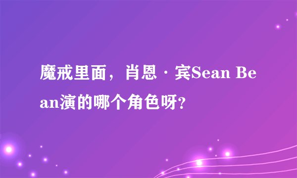 魔戒里面，肖恩·宾Sean Bean演的哪个角色呀？