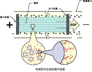 毛细管电色谱的介绍