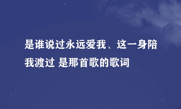 是谁说过永远爱我、这一身陪我渡过 是那首歌的歌词