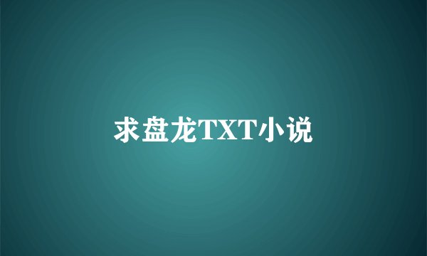 求盘龙TXT小说