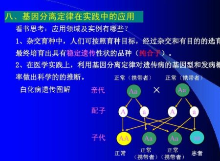 分离定律是什么