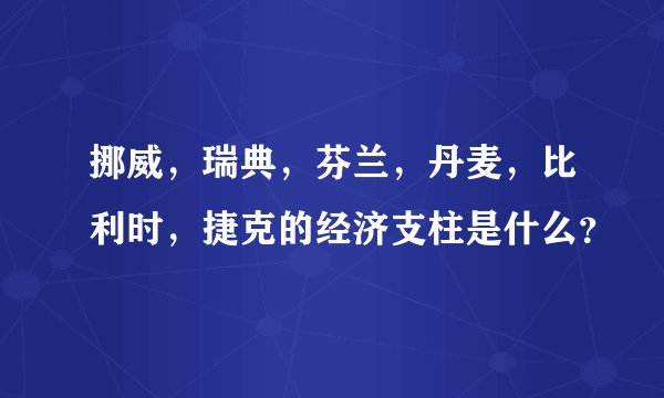 挪威，瑞典，芬兰，丹麦，比利时，捷克的经济支柱是什么？