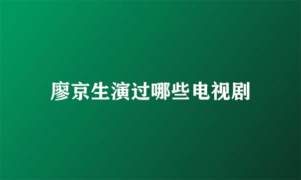 廖京生演过哪些电视剧