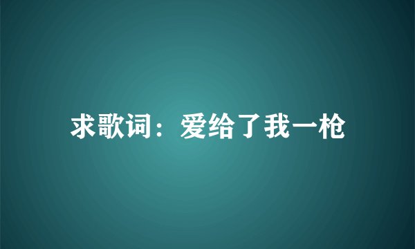 求歌词：爱给了我一枪
