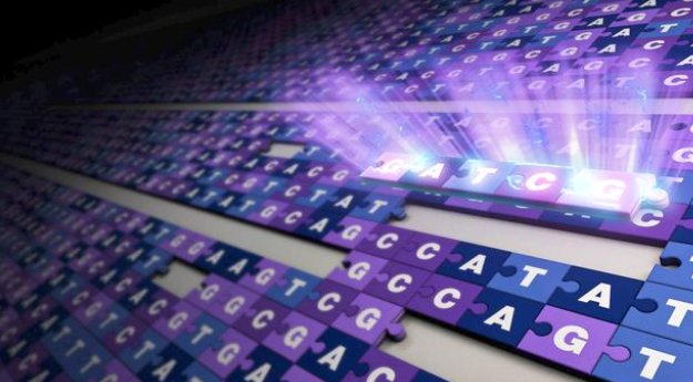 完整人类基因组首次被破译，此次都解开了哪些谜底？