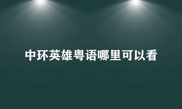 中环英雄粤语哪里可以看