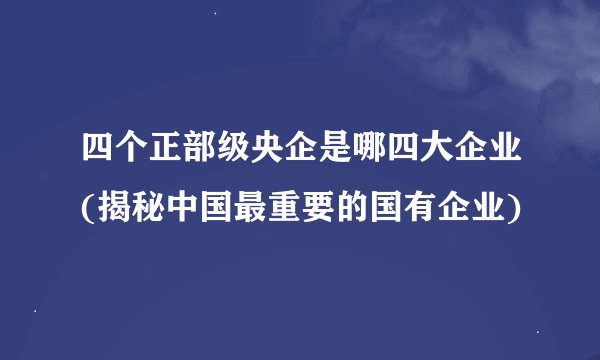 四个正部级央企是哪四大企业(揭秘中国最重要的国有企业)