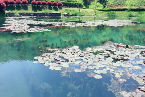 观书有感的其一其二的意思