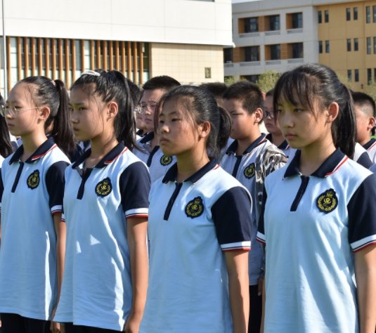 官方通报桃城中学相关问题调查结果，该校存在哪些违法行为？