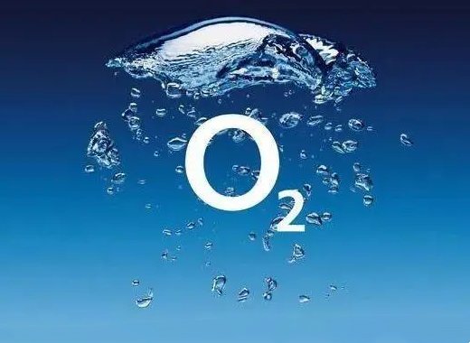 大量元素有哪些