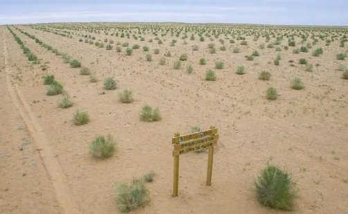 蚂蚁森林口蘑中的口字源于