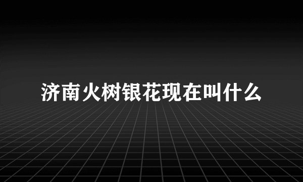 济南火树银花现在叫什么