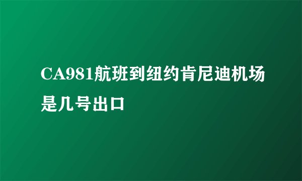 CA981航班到纽约肯尼迪机场是几号出口