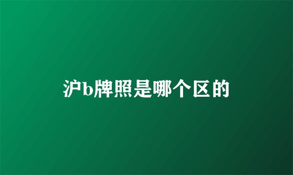 沪b牌照是哪个区的