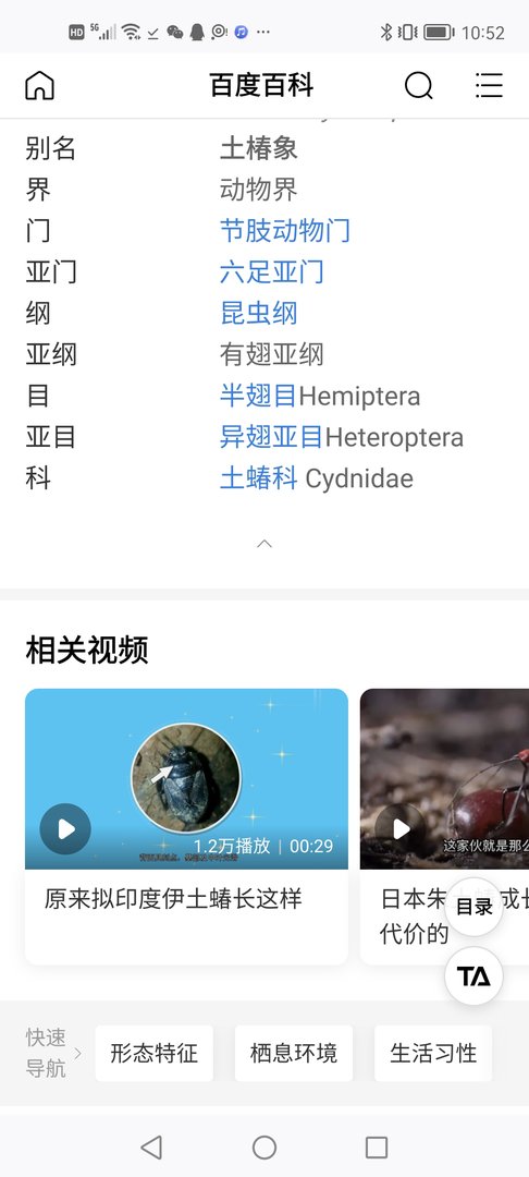 这是什么虫子？