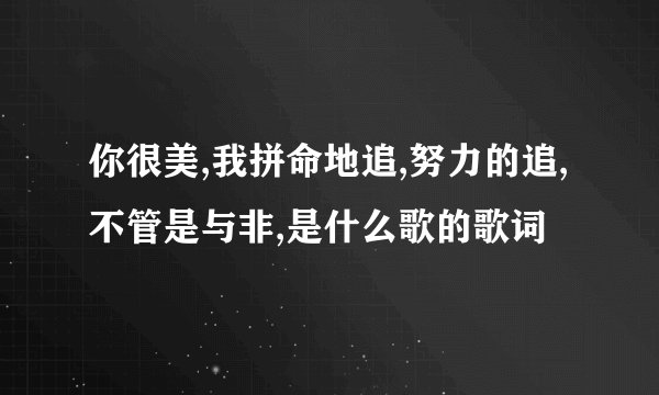 你很美,我拼命地追,努力的追,不管是与非,是什么歌的歌词