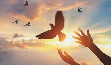 不足歌完整版是什么？