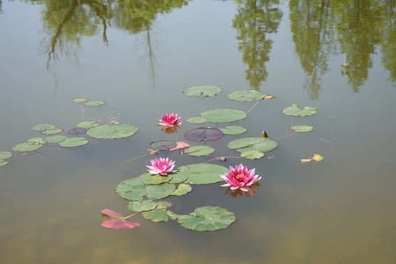 观书有感的其一其二的意思