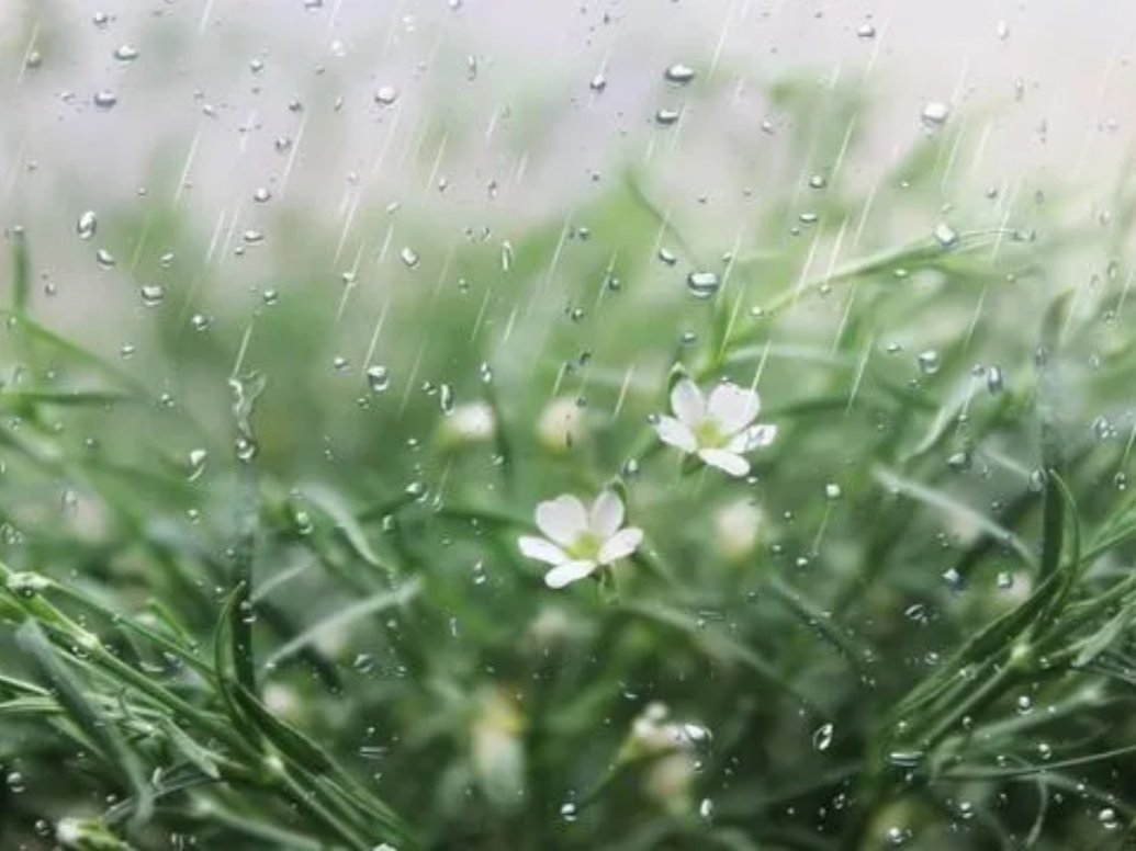 《春雨》艾青最后一句