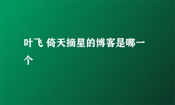 叶飞 倚天摘星的博客是哪一个