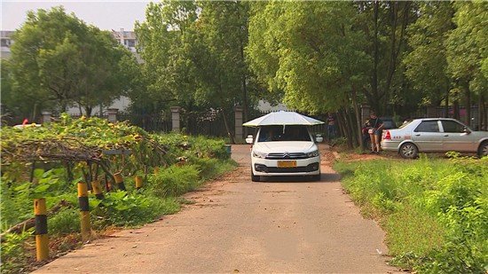 元贝驾考宝典科目三模拟考试收费是多少啊？