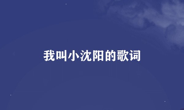 我叫小沈阳的歌词