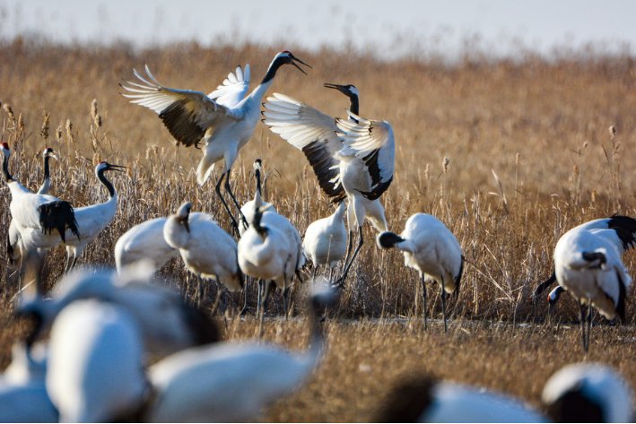中国十大自然保护区