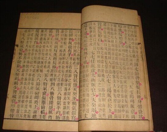 黄帝内经家用说明书的内容简介