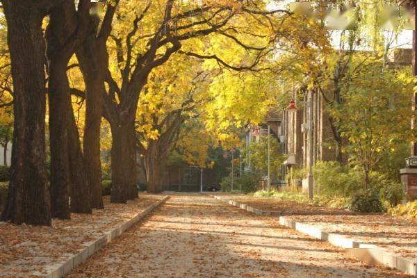 宾西法利亚大学排名