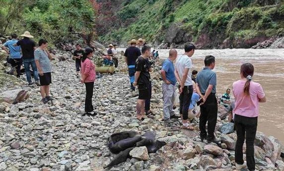 云南女子迪庆坠江失联，亲属质疑系遭其夫所害，夫妻二人平时关系如何？