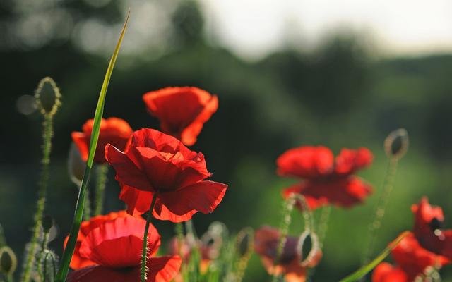 假如只有剩下不到3年多的时间，还有什么办法东山再起？